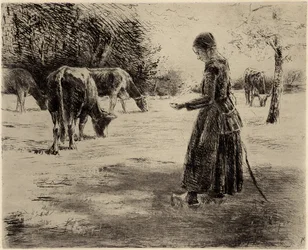 In the Pasture
